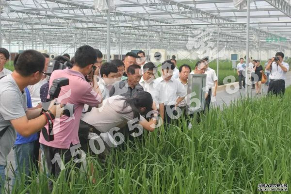 袁隆平水稻研究育苗中心