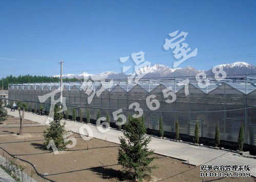 東營河口陽光板溫室育苗基地