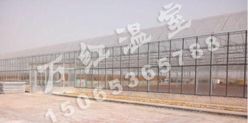 濱州花卉智能育苗中心