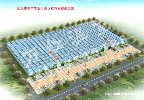 武漢都市農(nóng)業(yè)示范區(qū)智能溫室