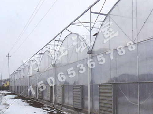 成豐農(nóng)業(yè)育苗基地A區(qū)建設(shè)完成