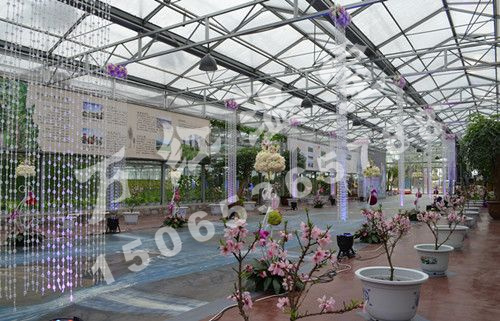 陽(yáng)信縣富農(nóng)花卉展廳