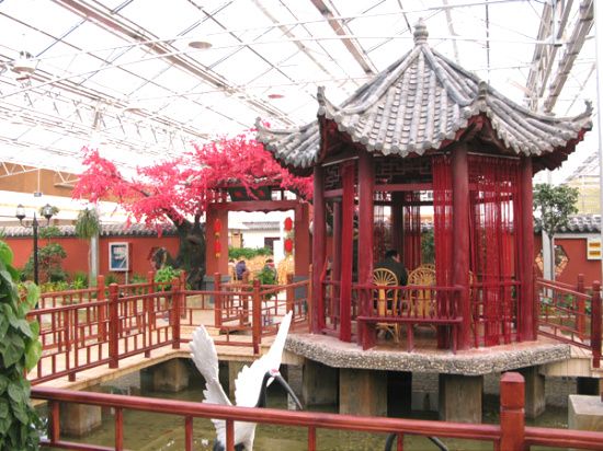 慶陽(yáng)鼎豐農(nóng)業(yè)有限公司基地