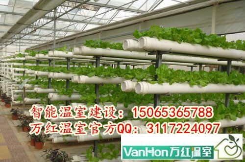 無(wú)土栽培玻璃溫室大棚