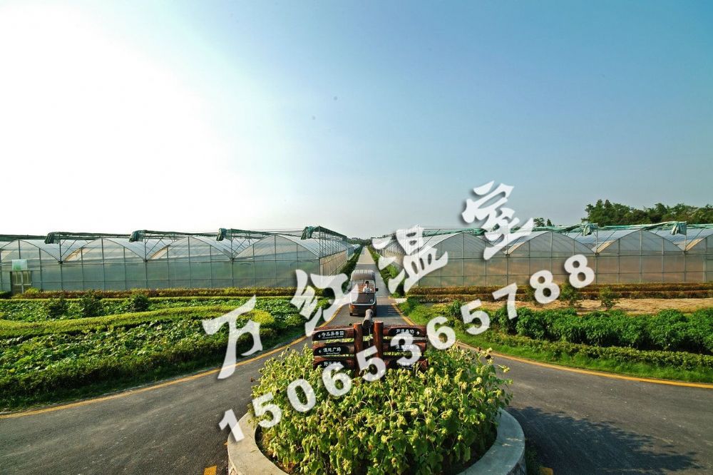 百畝農(nóng)業(yè)采摘園連棟溫室大棚