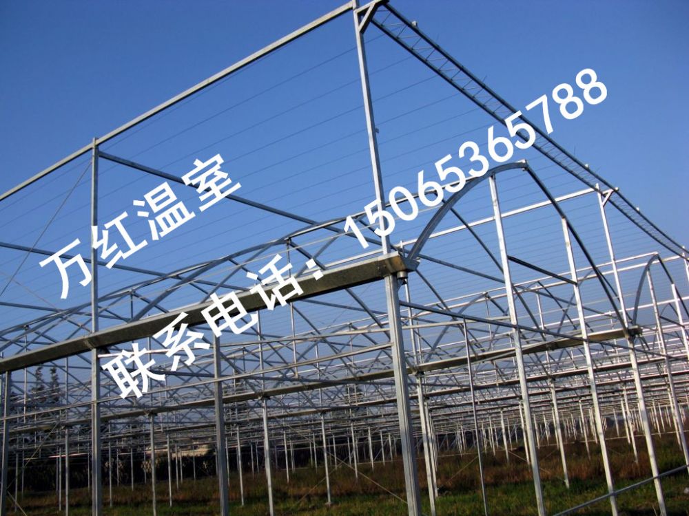 德州景輝得利花卉苗木溫室大棚