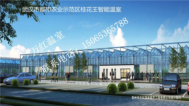 武漢市都市農(nóng)業(yè)示范區(qū)桂花王智能溫室