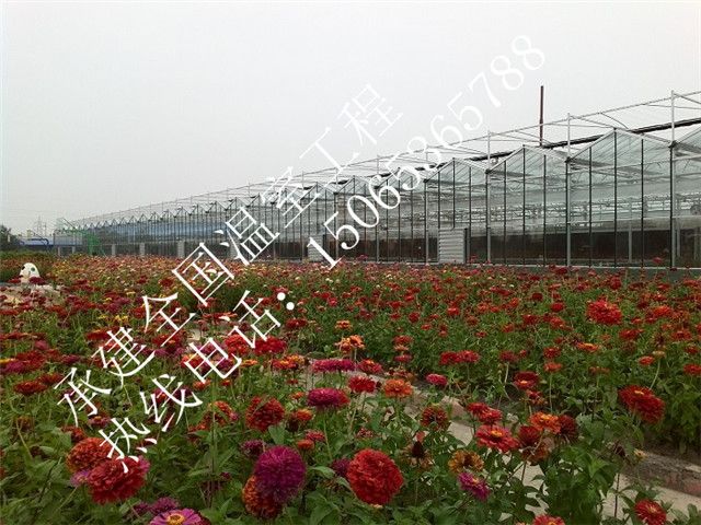 生態(tài)玻璃溫室大棚