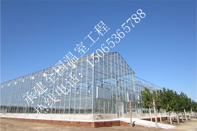 甘肅金川公園智能育苗溫室
