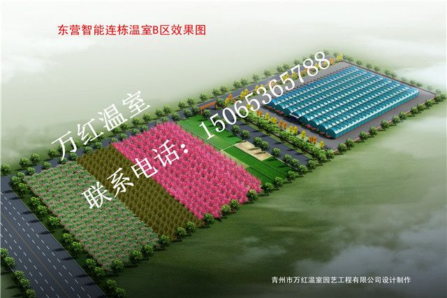 東營智能連棟溫室b區(qū)效果圖展示圖
