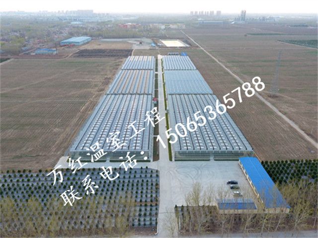 4萬平方生態(tài)觀光示范基地